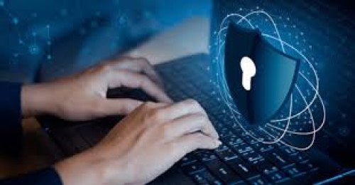 Balancing Security and Privacy: The Growing Role of Drones in Security Agencies